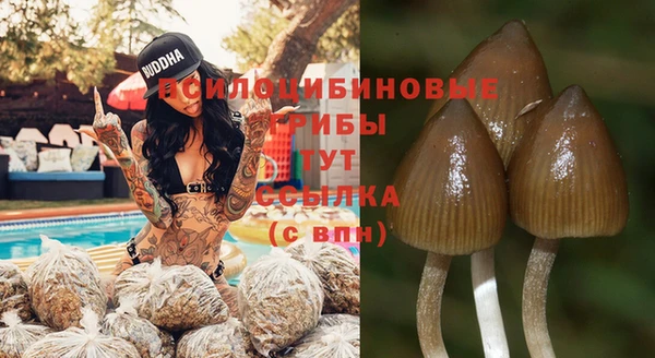 мяу мяу мука Аркадак