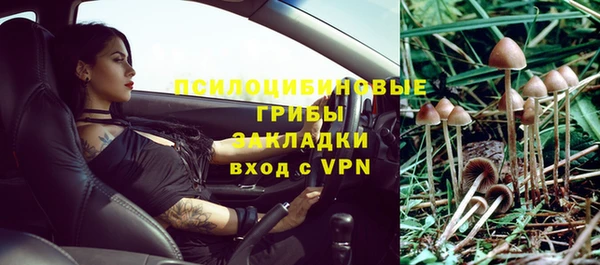 прущая мука Арсеньев