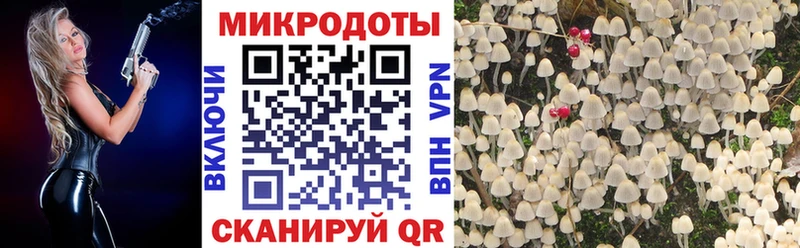 Псилоцибиновые грибы мухоморы Радужный
